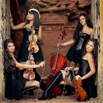 Violin Group Dolls